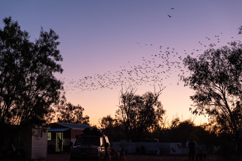 Email Marketing for Australian Outdoor & Adventure Brands: Seasonal Campaigns & Loyalty